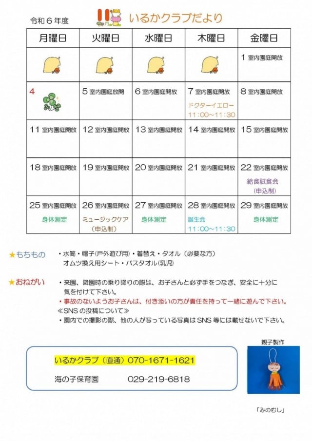 いるかクラブの1日